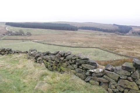 Natural landscape, Garden, Garden view