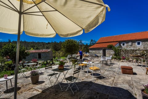 Patio, Garden, Garden view