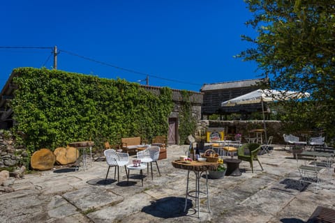 Patio, Garden, Seating area, Garden view