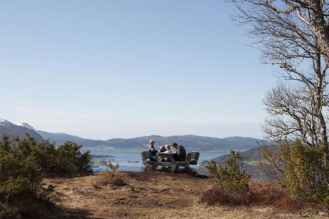 Natural landscape, group of guests