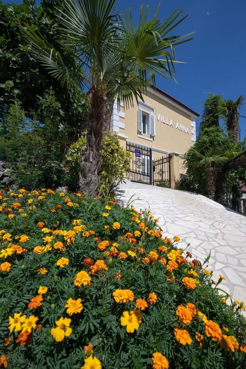 Patio, Garden, Garden view