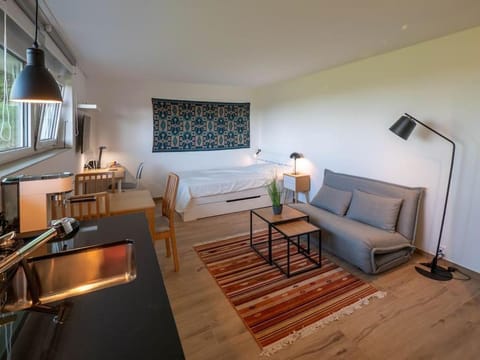 New & Stylish Studio in prime location Condo in Lausanne