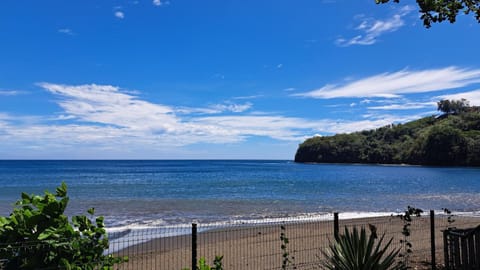 Natural landscape, Beach, Sea view