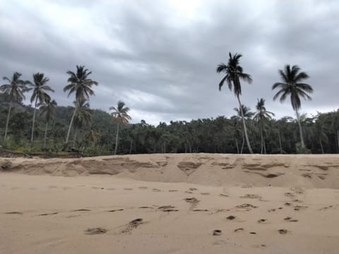 Accommodations Caribbean House in Las Galeras