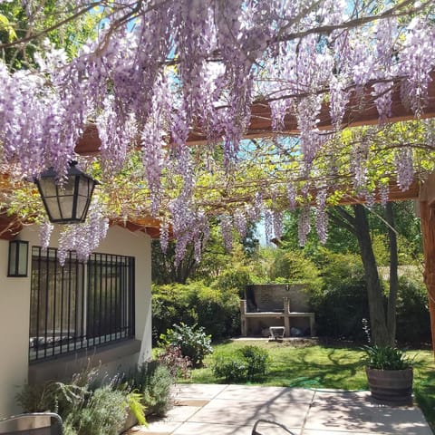 Property building, Spring, Garden, Garden, Garden view