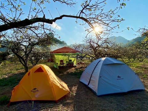 Camping Hoa Sơn Điền Trang Natur-Lodge in Dalat