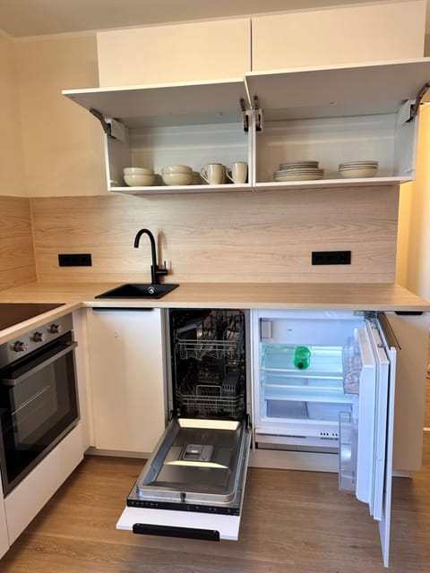 Kitchen or kitchenette, dishwasher, oven