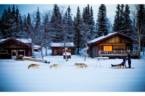 Property building, Winter