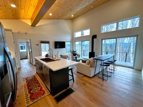 1B Contemporary cabin in magnificent setting, luxury and comfort, hot tub, AC! Villa in Bethlehem