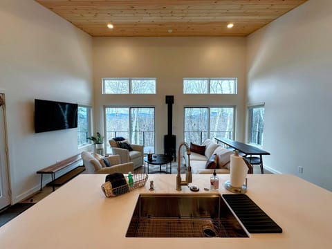 1B Contemporary cabin in magnificent setting, luxury and comfort, hot tub, AC! Villa in Bethlehem