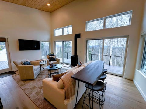 1B Contemporary cabin in magnificent setting, luxury and comfort, hot tub, AC! Villa in Bethlehem