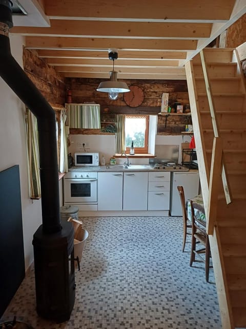 Kitchen or kitchenette, oven, pet friendly