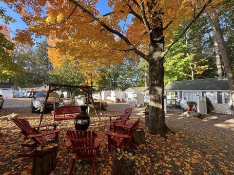 Patio, Natural landscape, Seating area