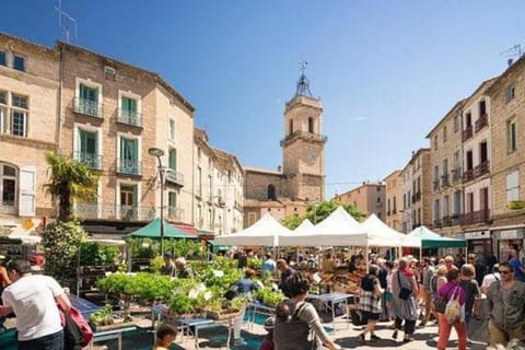 Tranquil apt with patio, Pézenas historic centre Apartment in Pézenas