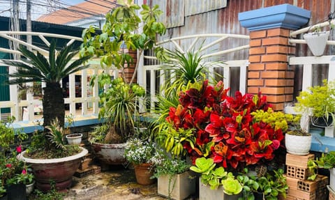 Uyên Trinh Homestay Villa in Dalat