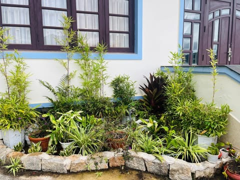 Uyên Trinh Homestay Villa in Dalat