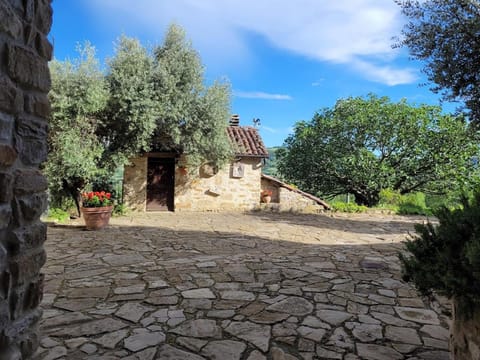 Garden, Garden view, Inner courtyard view