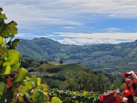 Natural landscape, Mountain view