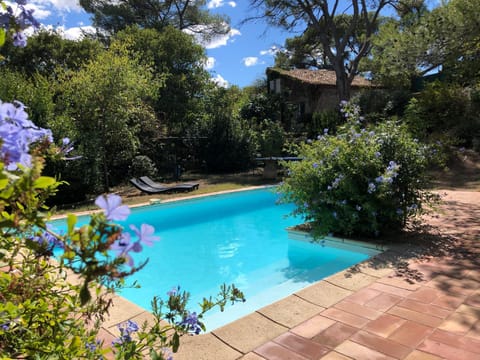 Petite maison de charme avec piscine et pins centenaires Villa in Nimes