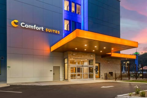 Comfort Suites Gatlinburg Downtown-Convention Center Hotel in Gatlinburg
