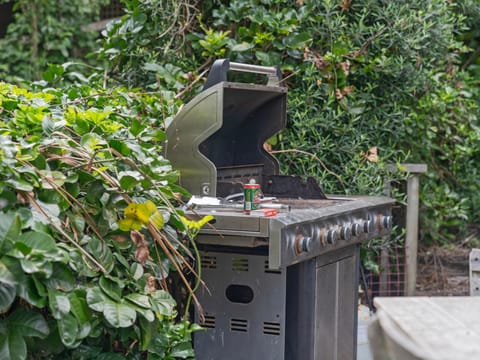 Kiwi Charmer - Onemana Holiday Home House in Whangamatā