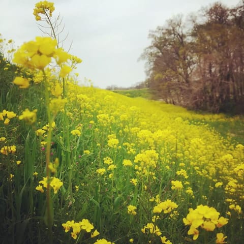 百年民宿　中里家 Villa in Saitama Prefecture