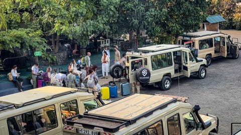 Day, People, Natural landscape, group of guests, shuttle