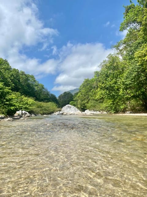 Natural landscape, River view