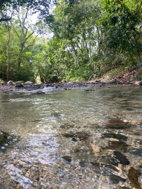 Natural landscape, River view