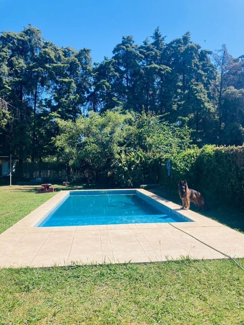 Garden, Pool view, Swimming pool