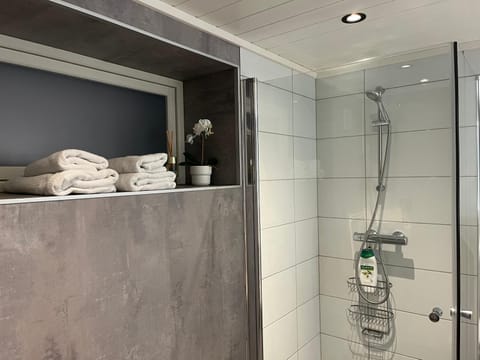 Shower, Bathroom, towels