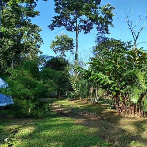 Glamping Naioth Condo in Heredia Province