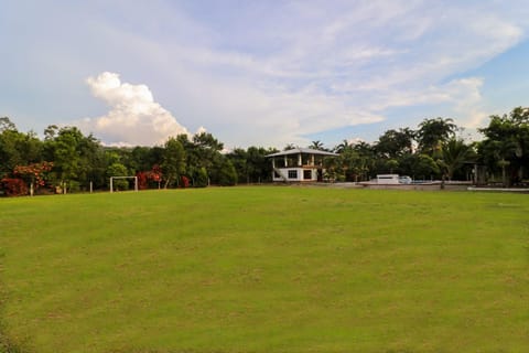 Property building, Garden, Garden view