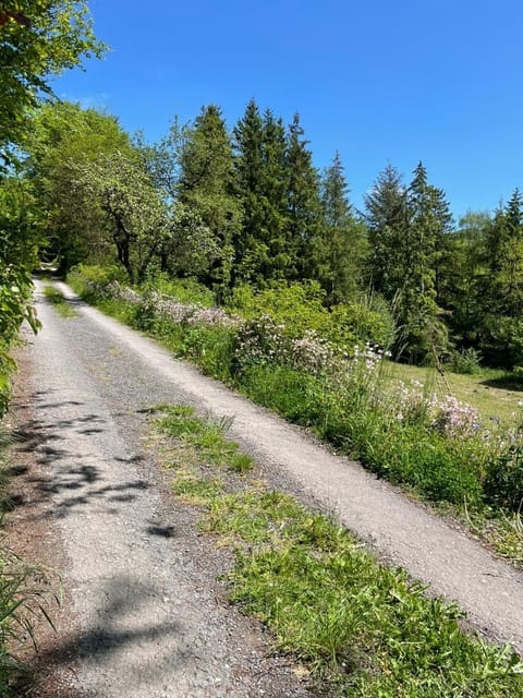 Urlaub mit der ganzen Familie im Ferienhaus in der Natur House in Diemelsee