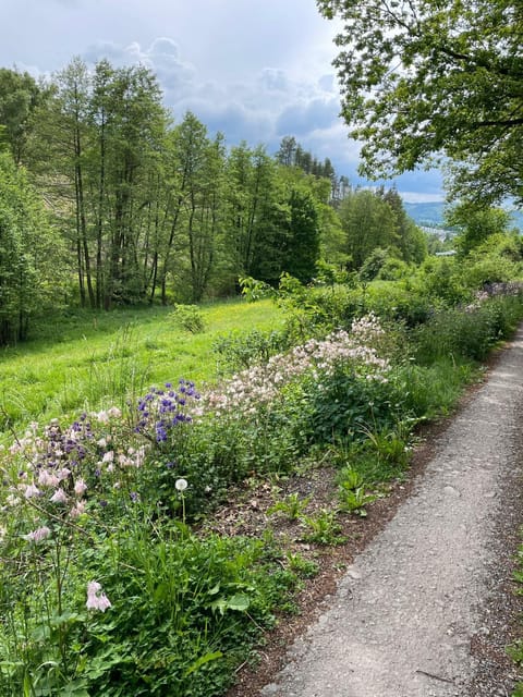 Urlaub mit der ganzen Familie im Ferienhaus in der Natur House in Diemelsee