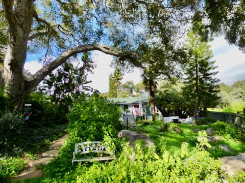 Bohemian Art & Garden Cottage Santa Barbara Haus in Santa Barbara