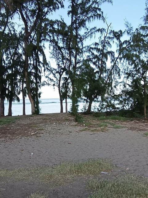 Day, Natural landscape, Beach, Sea view