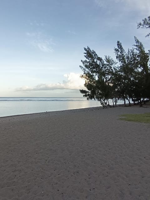 Day, Natural landscape, Beach, Sunrise