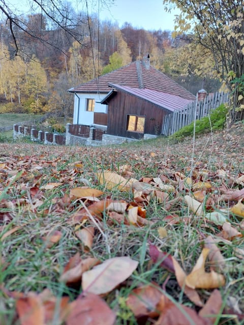 Casuta de sub munte House in Prahova, Romania