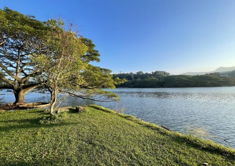 Natural landscape, Garden, River view