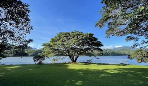 Natural landscape, Garden, Garden view, Mountain view, River view