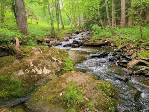 Creekside House in Watauga