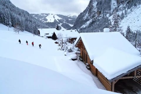 Captivating 9-Bed Chalet Morzine-Avoriaz Chalet in Montriond