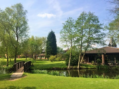 Property building, Garden, Garden view