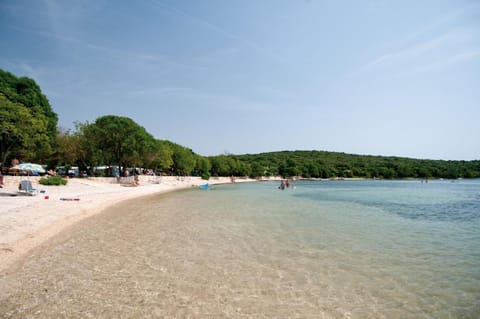 Natural landscape, Beach, Sea view