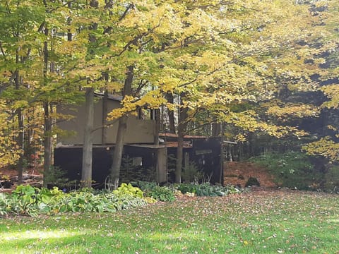 Black Pine Tree House Bed and Breakfast in Halton Hills