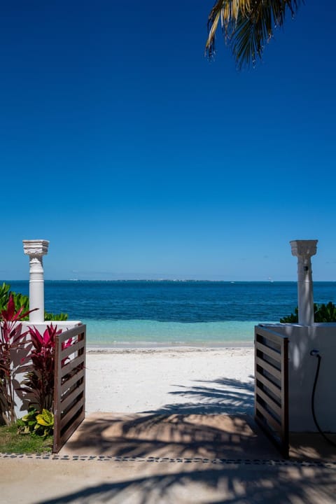 Unique 5BR Beachfront Villa w/ Private Pool! Villa in Cancun