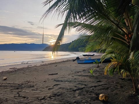 Posada Las Palmera Huina Bed and Breakfast in Choco, Colombia