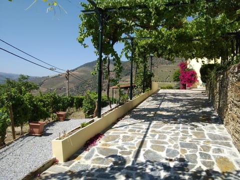 Quinta da Galeira Haus in Vila Real District