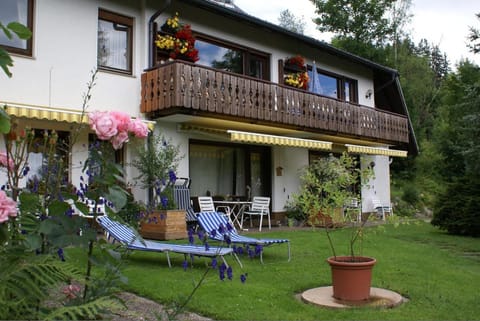 black forest apartments titisee mit privatstrand Condo in Hinterzarten